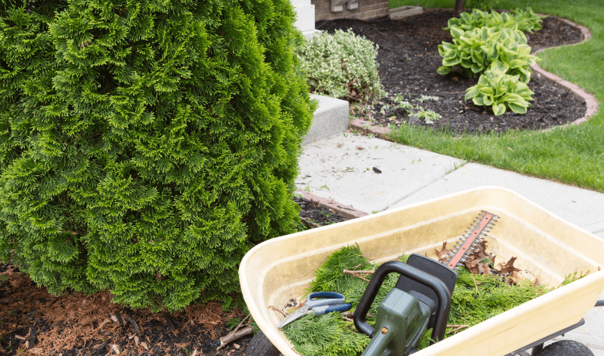 Presidential Lawn Service
