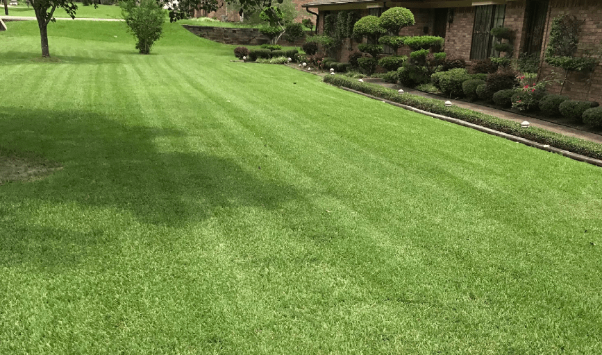 Presidential Lawn Service